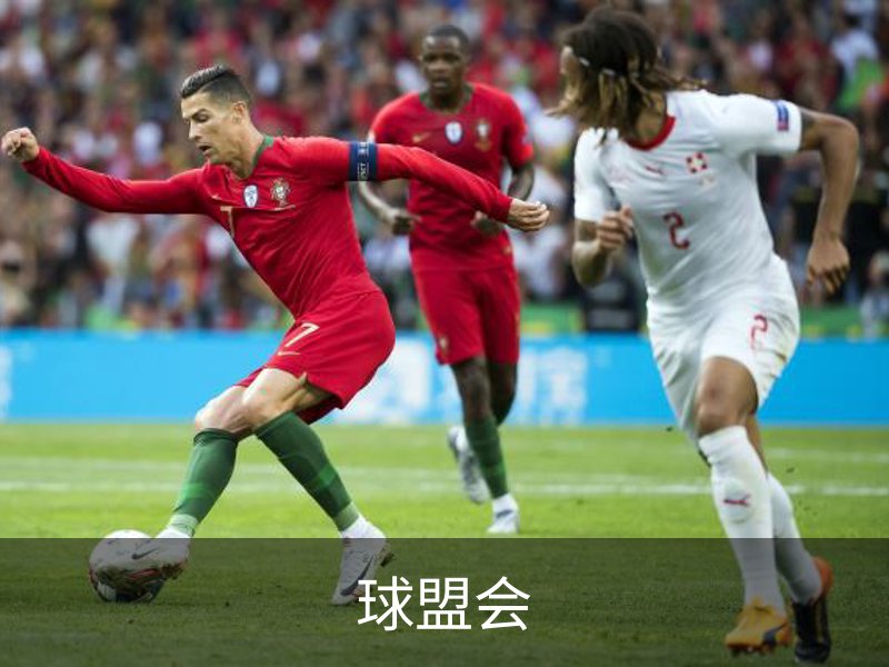关于球盟会